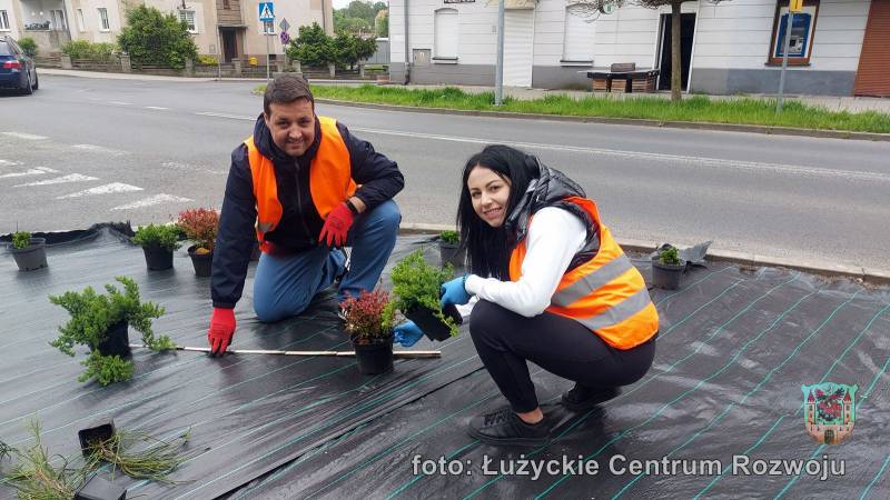 pracownicy ZGiUK sadzą rośliny na skwerku